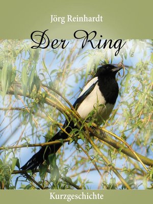 cover image of Der Ring